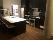 Montreal Furnished Condo for Rent Gorgeous 1 Bed, 1 Bath...
