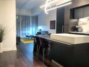 Montreal Furnished Condo for Rent in Downtown Gorgeous 1...