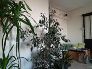 Montreuil Location Appartement 93