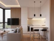 Montreuil Vente Appartement 93