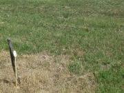 Montrichard Vente Terrain 41