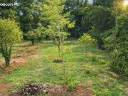 Montrond les Bains Vente Terrain 42