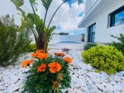 Moradia nova construção com piscina e jardim Cascais I...
