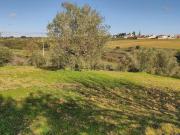 Moradia, Abitureiras