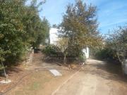 Moradia, Aguiar de Sousa