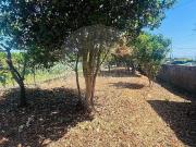 Moradia, Amoreira da Gândara Paredes do Bairro Ancas