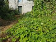 Moradia Antiga de Pedra + Armazém Calheta Madeira