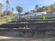 Moradia, Arca e Ponte de Lima