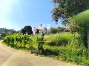 Moradia, Arrifana