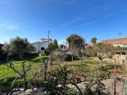 Moradia, Aver o Mar Amorim Terroso