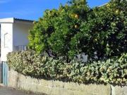 Moradia bi familiar T3 em Oliveira do Hospital e São...