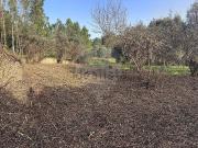 Moradia, Casais e Alviobeira