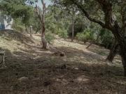 Moradia, Cascais e Estoril, Cascais | BPI Expresso...