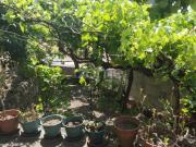 Moradia T4, Celorico São Pedro e Santa Maria e Vila Boa...