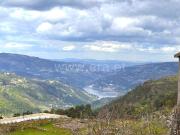 Moradia / Cinfães, Rio Douro