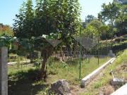 Moradia T4, Darque, Viana do Castelo | BPI Expresso...