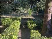 Moradia, de 2 pisos, em Nogueira e Silva Escura