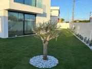 Moradia de Luxo T4 com Piscina Sintra/Magoito