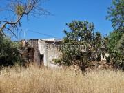 Moradia Devoluta Venda em Santa Bárbara de Nexe,Faro