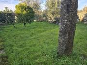 Moradia Devoluta Venda em Silgueiros,Viseu