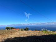 MORADIA E DOIS PALHEIRO AMBOS PARA RECUPERAR COM 1348M2...