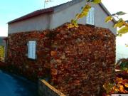 Moradia em Armadouro