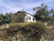 Moradia em Portela do Fojo