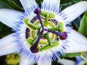 Moradia, Esposende Marinhas Gandra