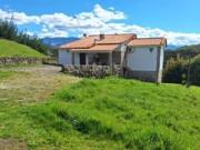 Moradia, Fornos de Algodres