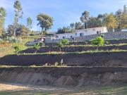 Moradia, Gemieira Moradia, Gemieira