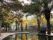 Moradia geminada, para venda, Lisboa Campo de Ourique