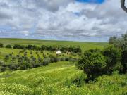 Moradia independente T2 com Terreno Rústico, em Santo...