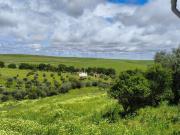 Moradia independente T2 com Terreno Rústico, em Santo...