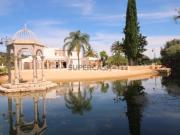 Moradia Isolada T3 Venda em Estômbar e Parchal,Lagoa Algarve