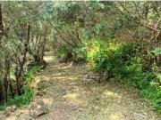 Moradia Isolada T4 Venda em Cascais e Estoril,Cascais