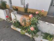 Moradia, Odeleite