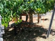 Moradia, Podame, Monção | BPI Expresso Imobiliário