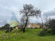 MORADIA POR RECUPERAR COM LOTE DE TERRENO NA QUINTA DO...