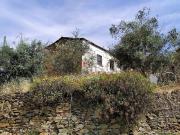 Moradia, Portela do Fojo Machio