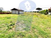 Moradia, Requeixo, Nossa Senhora de Fátima e Nariz,...