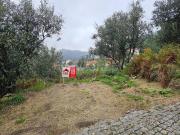 Moradia Rústica, Candemil, Amarante | BPI Expresso...