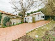 Moradia Rústica T3 em Almoster