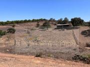 Moradia Rústica na zona de Serpa 1,5 hectares 80.000€