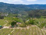 Moradia, Santa Cruz do Douro e São Tomé de Covelas