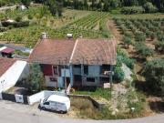 Moradia, Souselas e Botão