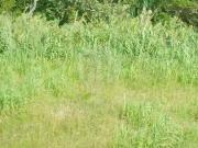 Moradia T0, Almagreira, Vila do Porto | BPI Expresso...