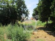 Moradia T0, São Martinho Do Bispo e Ribeira de Frades,...