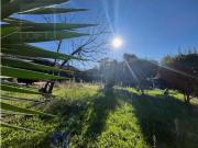 Moradia T10+1 em Braga