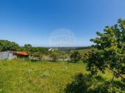 Moradia T1 à venda em Alcobaça