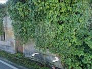 Moradia T1 à venda em Anadia